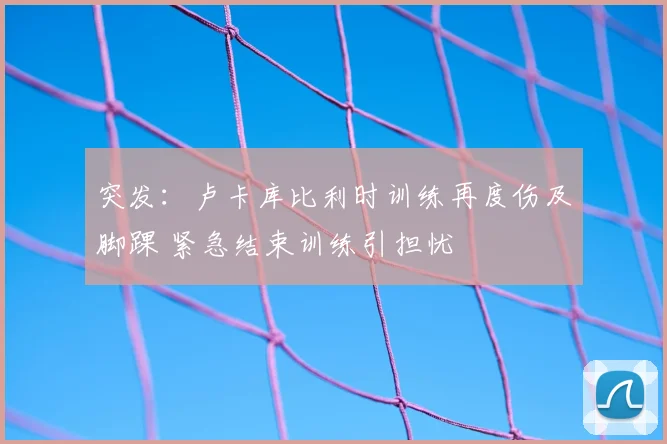 突发：卢卡库比利时训练再度伤及脚踝 紧急结束训练引担忧