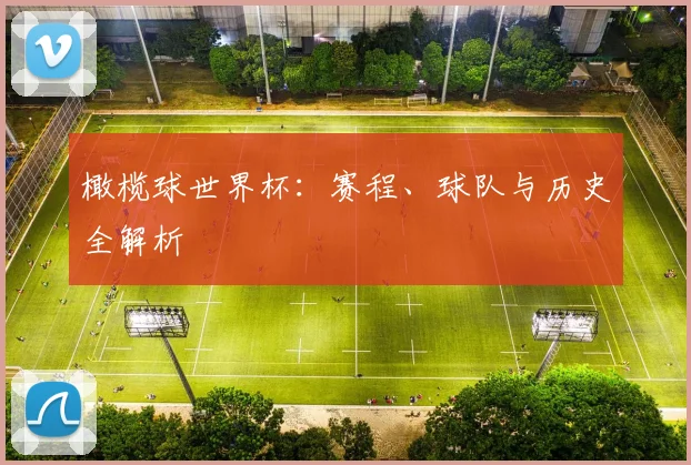 橄榄球世界杯：赛程、球队与历史全解析